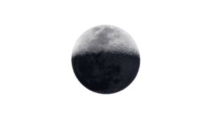cb506558-1fa2-45d9-80ff-3e6a76f90599